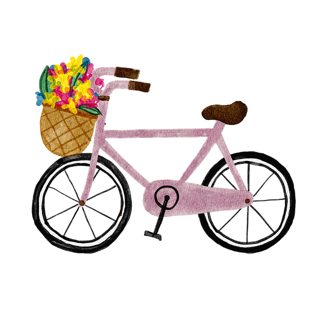 Alles wat je moet weten over damesfietsen